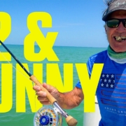 82-Sunny-Fly-Fishing-for-Tarpon