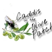 Caddis-In-The-Olive-Patch