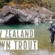 Chasing-Summer-New-Zealand-Brown-Trout-On-The-Fly