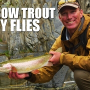 Dry-Fly-Fishing-Rainbow-Trout-Gorgeous-Stream-Trout-Fishing-Dry-Fly-Fishing-Rainbow-Trout