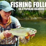 Fly-Fishing-Follow-Up-on-a-Popular-Rainbow-Trout-Stream-How-to-Fly-Fish-PART-1