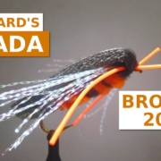 Fly-Tying-a-Cicada-Brood-X-2021