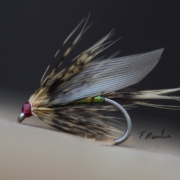 Fly-tying-a-winged-long-soft-hackle-wetfly-with-Fabien-Moulin