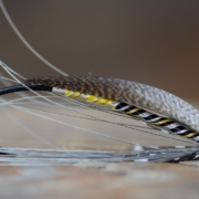 Fly-tying-the-Spey-fly-Grey-Heron-var-with-Fabien-Moulin