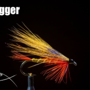 Golddigger-classic-streamer-fly-tying-tutorial