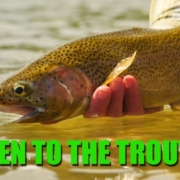How-to-Listen-to-the-Trout