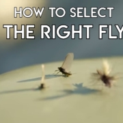 How-to-Select-the-Right-Fly-Tom-Rosenbauer