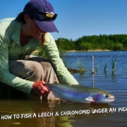 How-to-fish-a-leech-amp-chironomid-from-shore