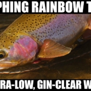Nymphing-Rainbow-Trout-in-Ultra-Low-amp-Gin-Clear-Water-Fly-Fishing-of-Pre-Runoff