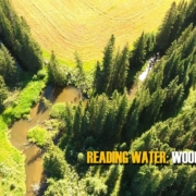 READING-TROUT-WATER-In-Stream-Wood