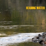 READING-TROUT-WATER-Tailouts