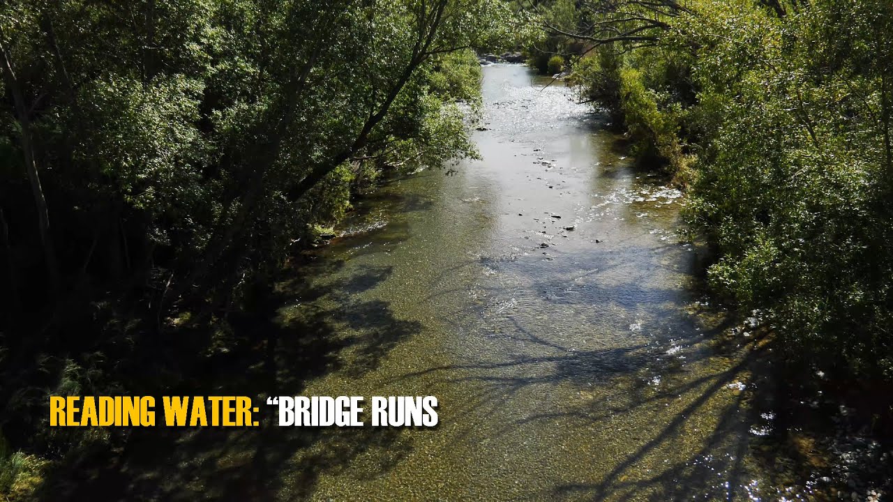 READING-TROUT-WATER-The-Bridge-Run
