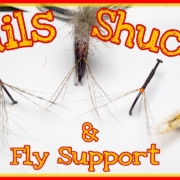 Tails-ShucksampFly-Support