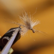 Tying-The-Found-Link-Callibaetis-Jig-with-Kelly-Galloup