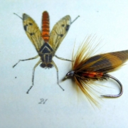Tying-a-Downhill-Fly-or-Oak-Fly-with-Davie-McPhail