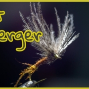 Biot-Emerger-CDCampPartridge-V-wings-4K-video