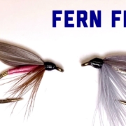 Fern-Fly-Moth-Mary-Orvis-Marbury-aka-quotMomquot-and-Ray-Bergman-versions