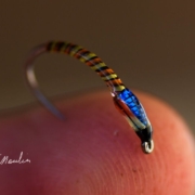 Fly-tying-a-Buzzer-fly-with-Fabien-Moulin