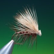 Fly-tying-for-Beginners-Elk-hair-caddis-with-Barry-Ord-Clarke
