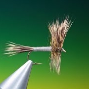 Fly-tying-for-beginner39s-Hair-wing-Dun-with-Barry-Ord-Clarke