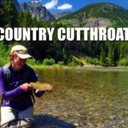 High-Country-Cutthroat-Trout-A-Relaxed-Afternoon-In-Stunning-Water-amp-Scenery.-Fly-Fishing-Alberta