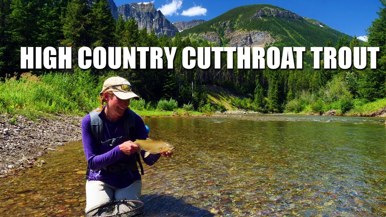 High-Country-Cutthroat-Trout-A-Relaxed-Afternoon-In-Stunning-Water-amp-Scenery.-Fly-Fishing-Alberta