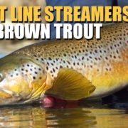 Short-Line-Streamer-Fly-Fishing-Brown-Trout-Fly-Fishing-How-To-Break-Down-A-Large-River-Pocket