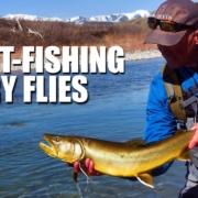 Sight-Fishing-A-BIG-BULL-TROUT-Dry-fly-fishing-Cutthroat-and-Rainbow-Trout-Fly-fishing-in-Alberta