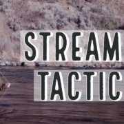 Streamer-Tactics-For-Fly-Fishing-With-Tom-Larimer