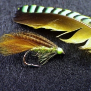 Tying-an-Olive-Irish-Ace-of-Spades-by-Davie-McPhail