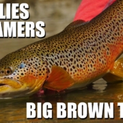 BIG-BROWN-TROUT-Early-Season-Dry-Flies-amp-Streamer-Tactics-How-to-fly-fish-dry-flies-streamers