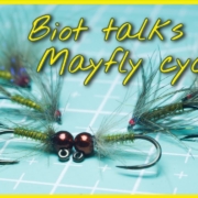 Biot-talks-and-Mayfly-cycle