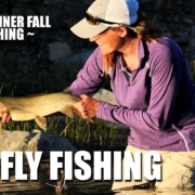 Dry-Fly-Fly-Fishing-Mayfly-Spinner-Fall-Fly-Fishing-Rising-Rainbow-Trout