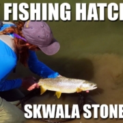 Fly-Fishing-Hatches-quotSkwala-Stonefly-Maniaquot.-Sight-Fly-Fishing-amp-Dry-Flies-for-Brown-Trout