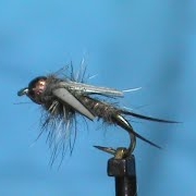 Fly-Tying-a-Chocolate-Nymph-with-Jim-Misiura