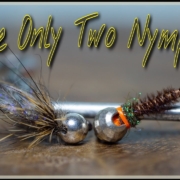 The-Only-Two-Nymphs