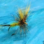 Tying-a-Yellow-Wulff-with-Martyn-White