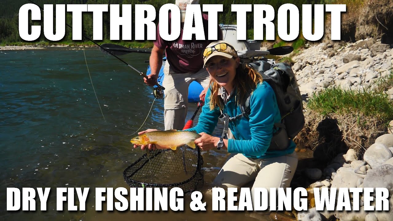 Fly-Fishing-Cutthroat-Trout-Reading-Water-amp-Dry-Fly-Fishing-Fly-Fishing-Cutthroat-Trout