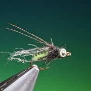Fly-Tying-a-Long-Horn-Caddis-Pupa-with-Barry-Ord-Clarke