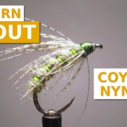 Fly-Tying-the-Coyote-Nymph-All-purpose-Caddis-Pupa