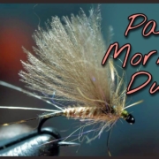 PMD-Pale-Morning-Dun-forking-three-tails-plus-working-with-peacock-biot