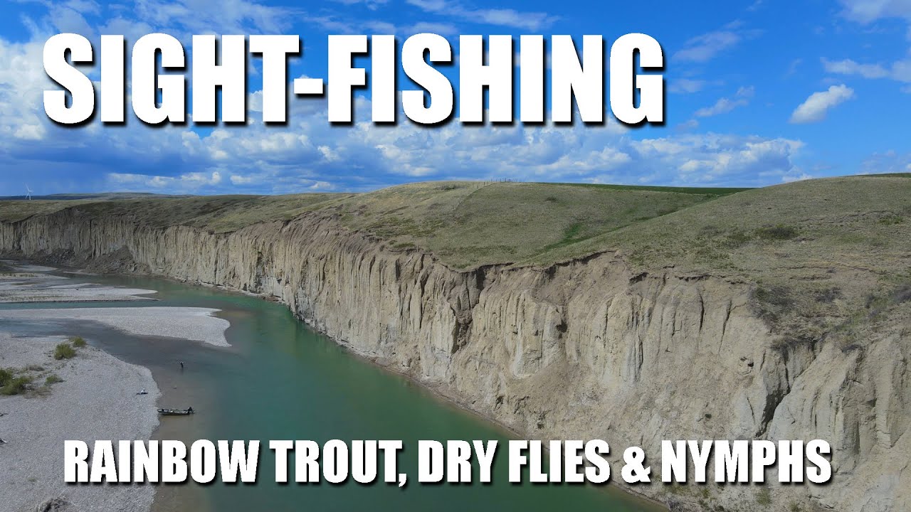 Sight-Fishing-Rainbow-Trout-Dry-Flies-amp-Dropper-Nymphs-on-a-Gravel-Shelf.-Fly-Fishing-in-Alberta