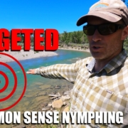 Targeted-Common-Sense-Nymphing.-How-to-Fly-Fish-Nymphs-with-an-Indicator-to-SPECIFIC-Trout-Lies