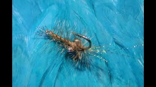 Tying-Gorrels-Hackle-Shrimp-with-Martyn-White