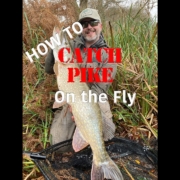 A-beginners-guide-to-Pike-on-the-fly-or-Muskie-if-you-are-in-North-America