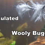 Articulated-Wooly-Bugger-Underwater-Footage-Streamer-Fly-McFly-Angler-Fly-Tying