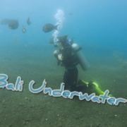Bali-Underwater