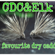 CDCampElk-My-favourite-caddis-fly
