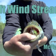 Craft-Wind-Streamer-UNDERWATER-FOOTAGE-For-Bass-and-Pike-McFly-Angler-Fly-Tying