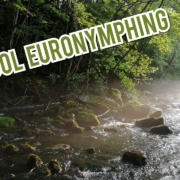 Euronymphing-in-one-pool-8-trouts-recorded